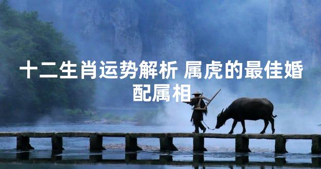 十二生肖运势解析 属虎的最佳婚配属相